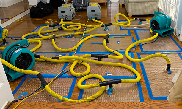Professional Burst Pipe Water Damage technician working in Oil City, PA